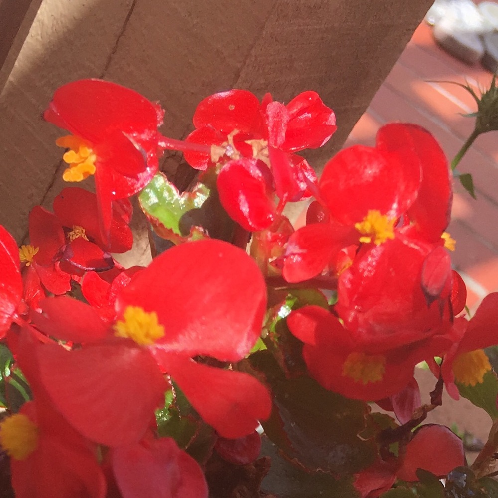 Meet your Posher, Kairra